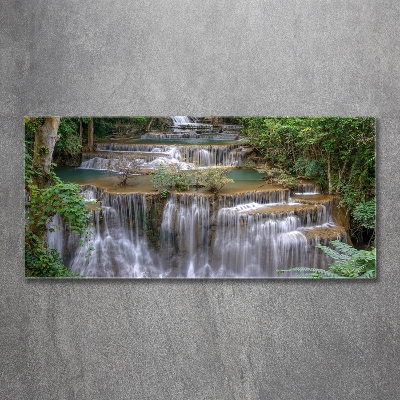 Quadro su vetro Cascata nella foresta