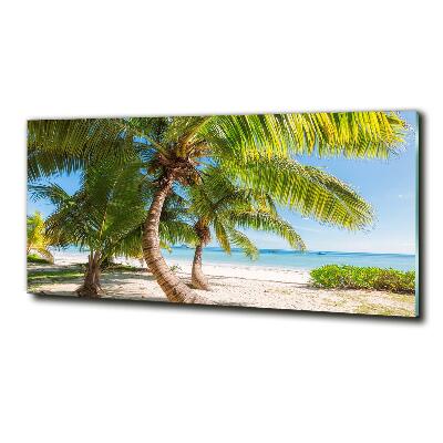 Quadro vetro Spiaggia tropicale