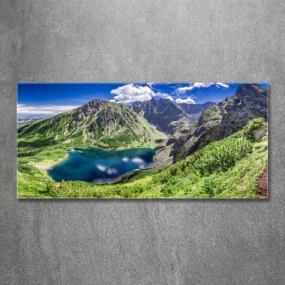 Quadro in verde Lago Nero, Monti Tatra