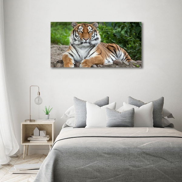 Quadro in vetro Tigre siberiana