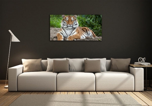 Quadro in vetro Tigre siberiana