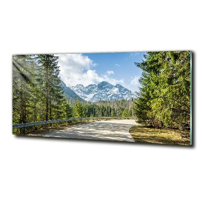 Quadro su vetro Strada dei Monti Tatra