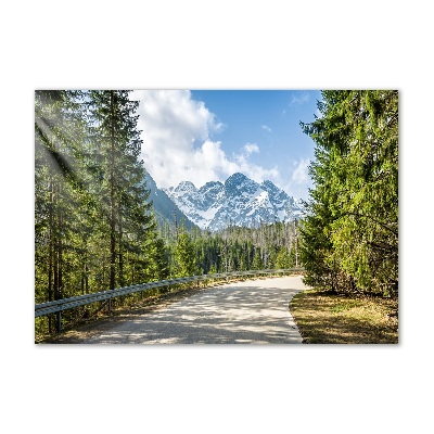 Quadro su vetro Strada dei Monti Tatra