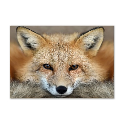 Quadro in verde Volpe