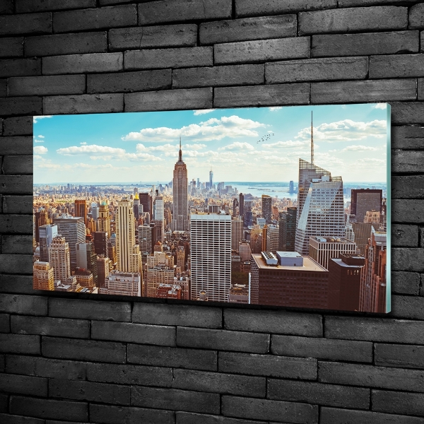 Quadro in verde Vista a volo d'uccello di New York