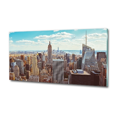 Quadro in verde Vista a volo d'uccello di New York