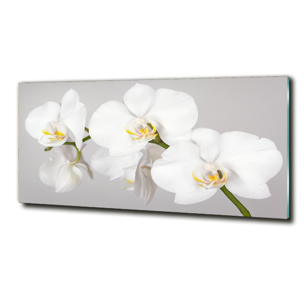 Quadro vetro Orchidea