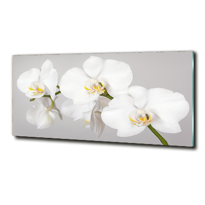 Quadro vetro Orchidea