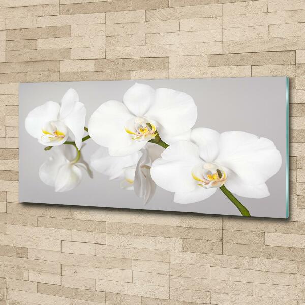 Quadro vetro Orchidea