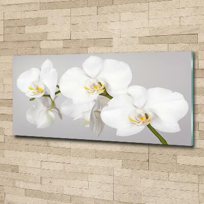 Quadro vetro Orchidea