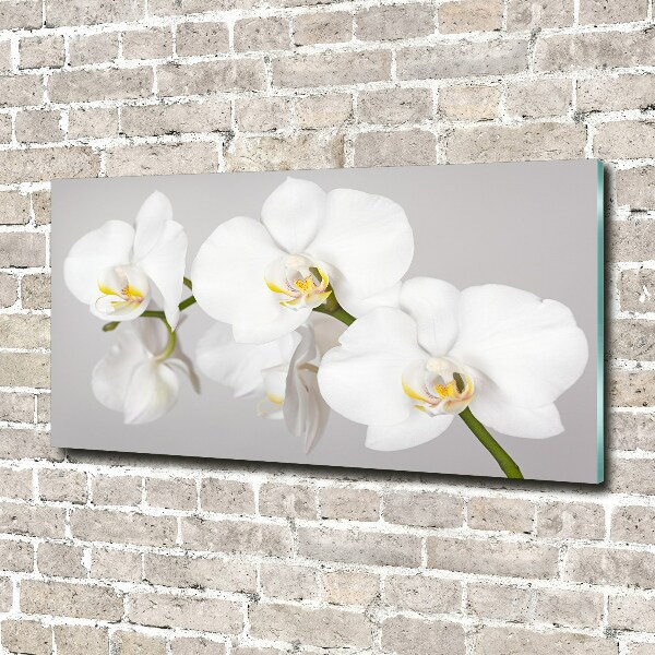 Quadro vetro Orchidea