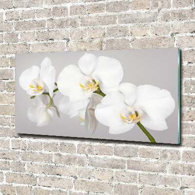 Quadro vetro Orchidea