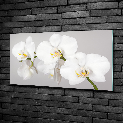 Quadro vetro Orchidea
