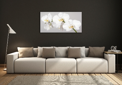 Quadro vetro Orchidea