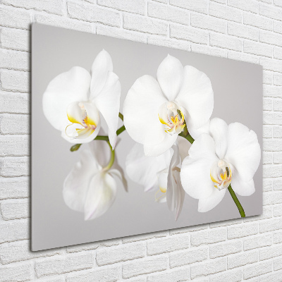Quadro vetro Orchidea
