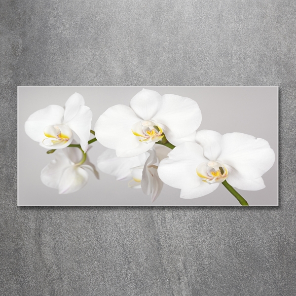 Quadro vetro Orchidea