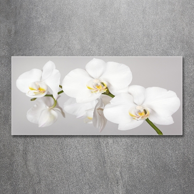 Quadro vetro Orchidea