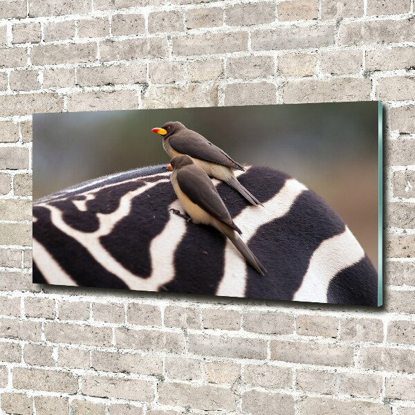 Quadro vetro Uccelli e zebra
