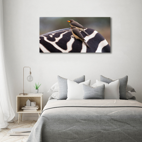 Quadro vetro Uccelli e zebra