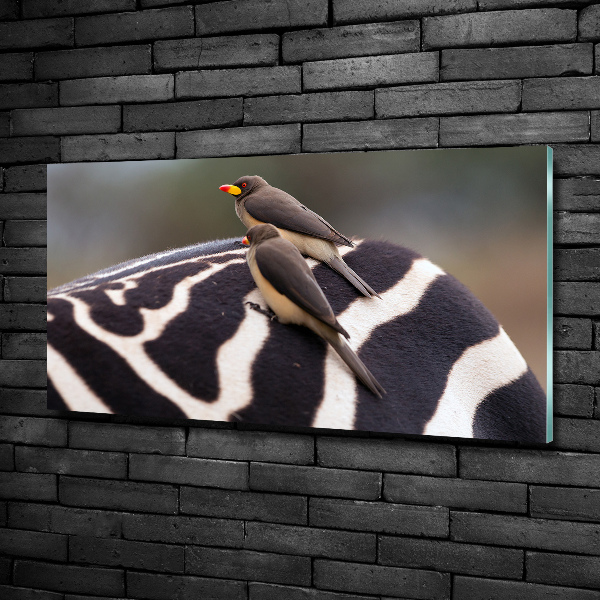 Quadro vetro Uccelli e zebra