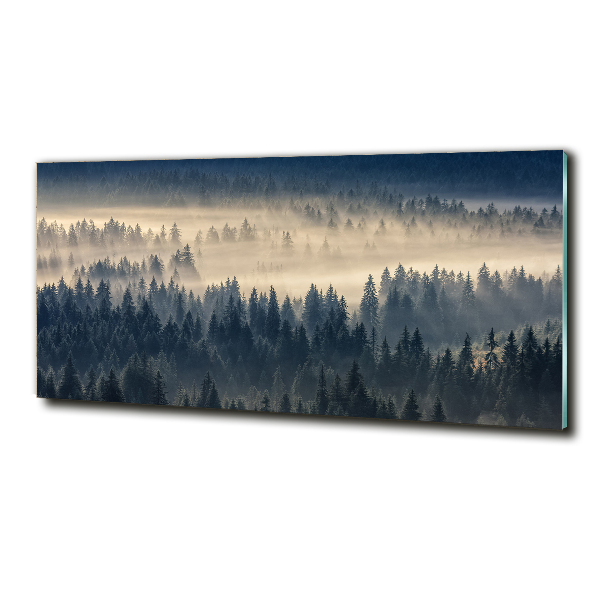 Quadro su vetro Nebbia sulla foresta