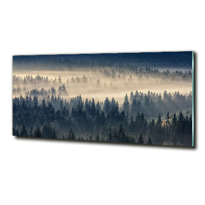 Quadro su vetro Nebbia sulla foresta