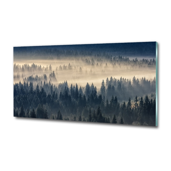 Quadro su vetro Nebbia sulla foresta