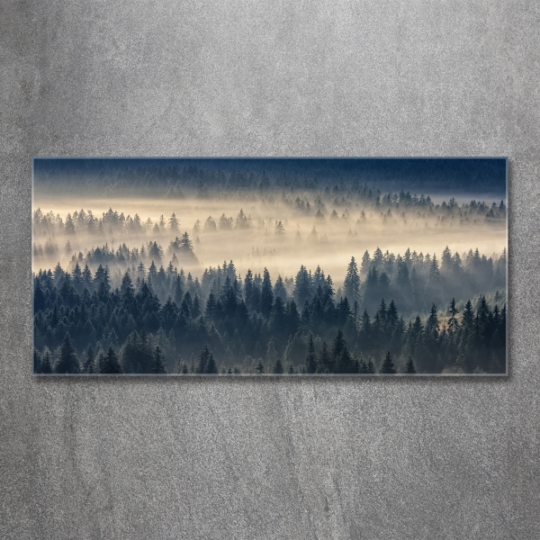 Quadro su vetro Nebbia sulla foresta