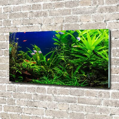 Quadro vetro Pesci nell'acquario