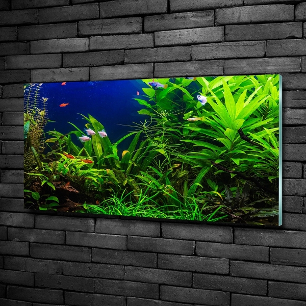 Quadro vetro Pesci nell'acquario
