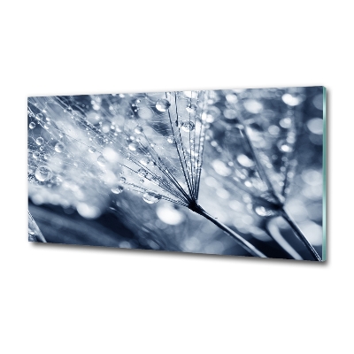 Quadro su vetro Semi di tarassaco