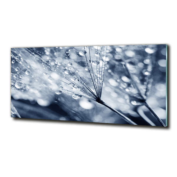 Quadro su vetro Semi di tarassaco