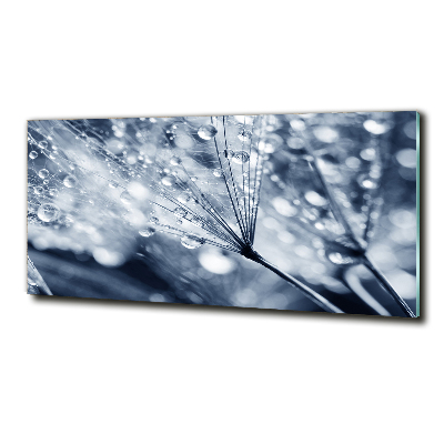 Quadro su vetro Semi di tarassaco