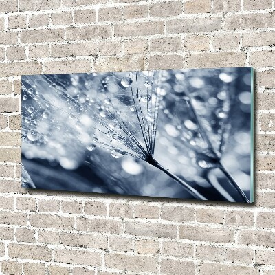 Quadro su vetro Semi di tarassaco