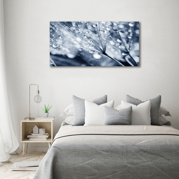 Quadro su vetro Semi di tarassaco