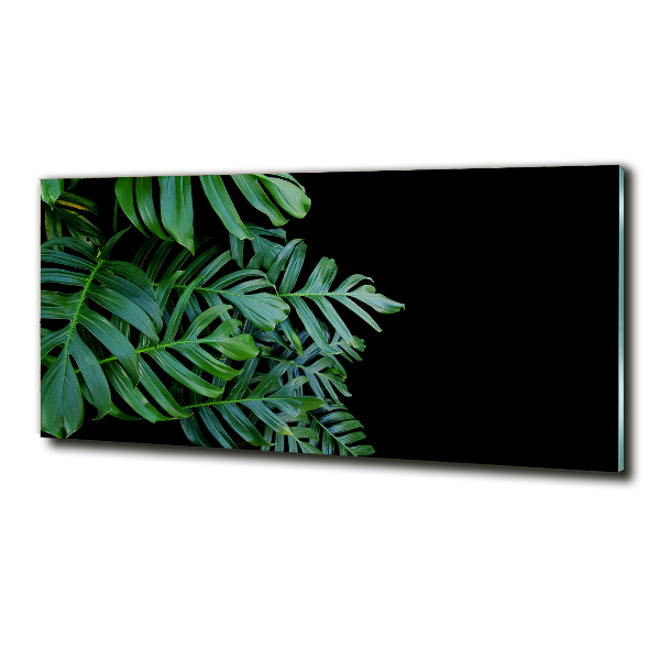 Quadro in verde Monstera