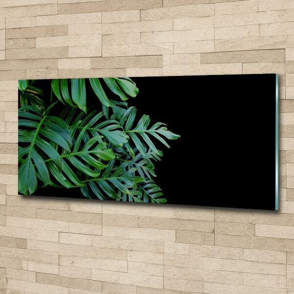 Quadro in verde Monstera