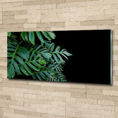 Quadro in verde Monstera