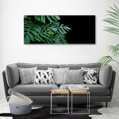 Quadro in verde Monstera