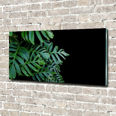 Quadro in verde Monstera