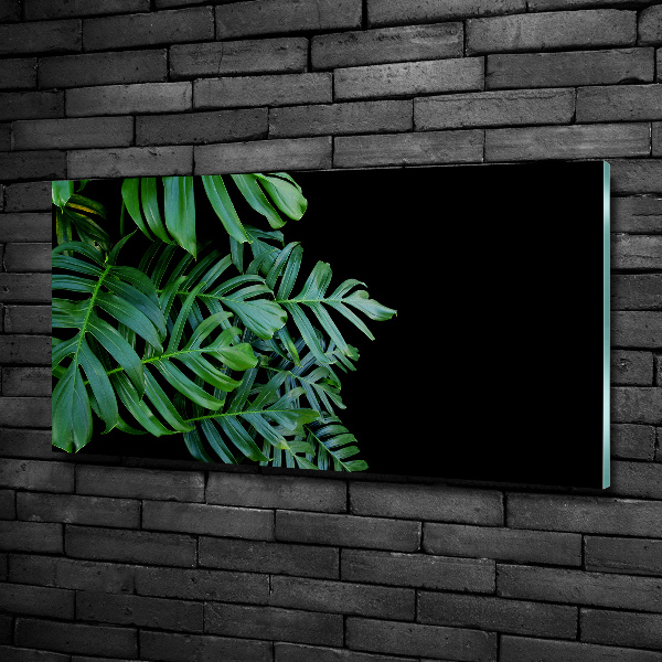 Quadro in verde Monstera