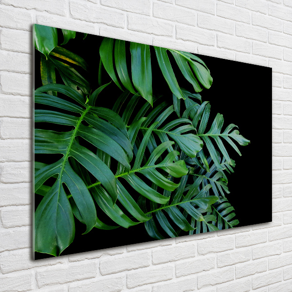 Quadro in verde Monstera