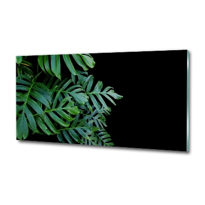 Quadro in verde Monstera