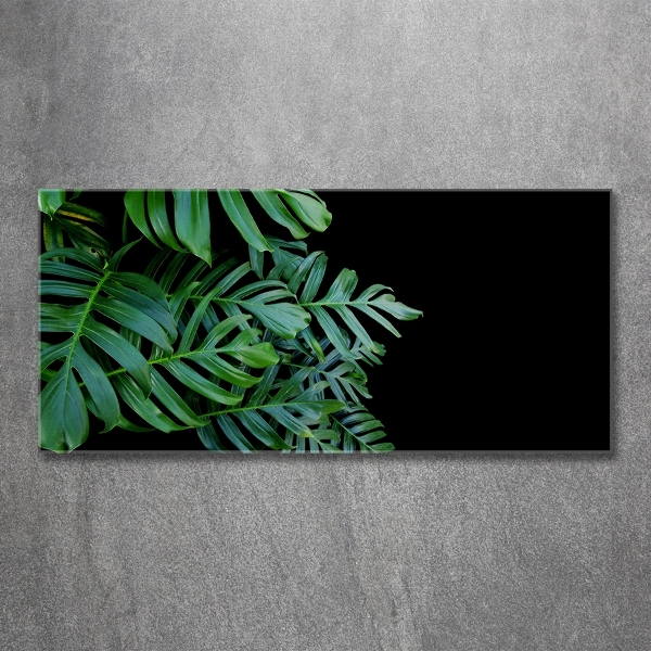 Quadro in verde Monstera