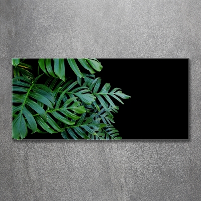 Quadro in verde Monstera
