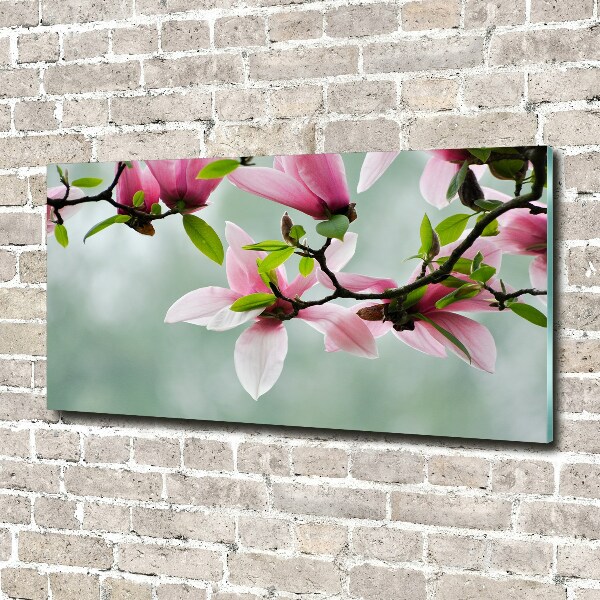 Quadro su vetro Magnolia