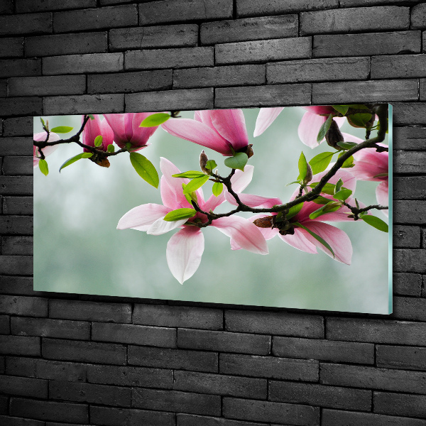 Quadro su vetro Magnolia