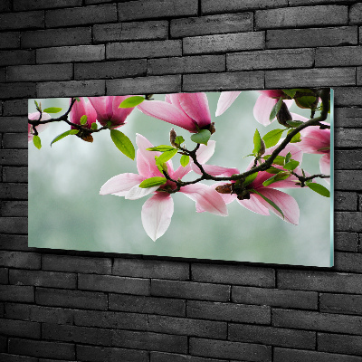 Quadro su vetro Magnolia