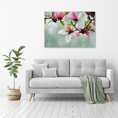 Quadro su vetro Magnolia