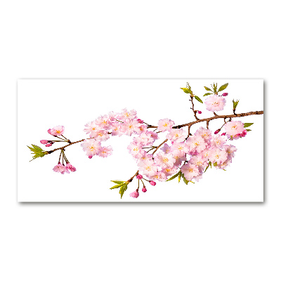 Quadro in vetro Rovo